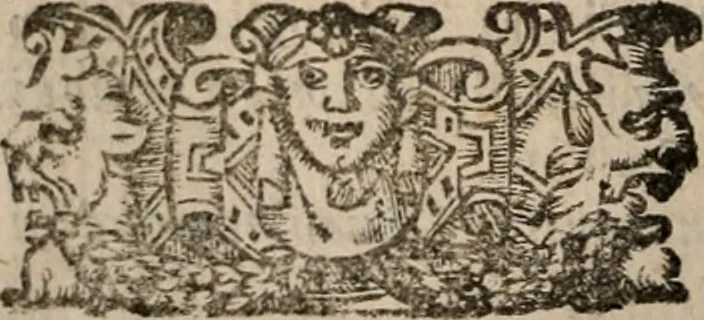 An illustration from Le bravvre del capitano Spavento, divise in molti ragionamenti in forma di dialogo, 1618, leaf 251