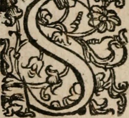 An illustration from Le bravvre del capitano Spavento, divise in molti ragionamenti in forma di dialogo, 1618, leaf 257