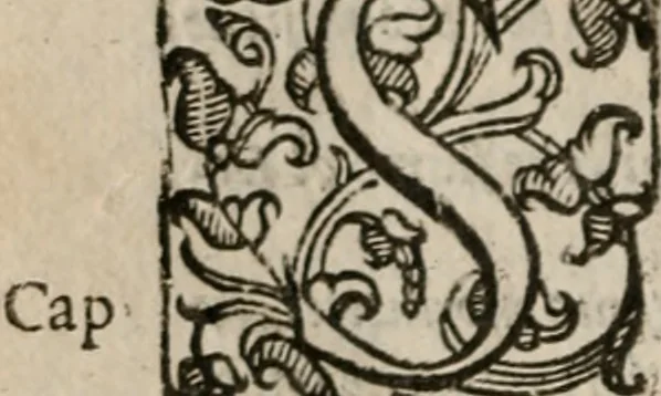 An illustration from Le bravvre del capitano Spavento, divise in molti ragionamenti in forma di dialogo, 1618, leaf 261