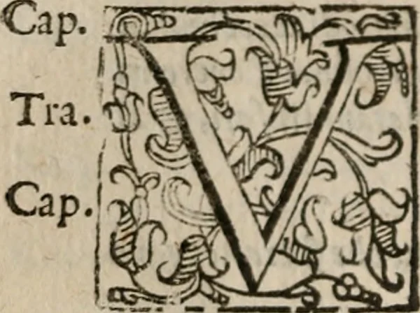 An illustration from Le bravvre del capitano Spavento, divise in molti ragionamenti in forma di dialogo, 1618, leaf 265