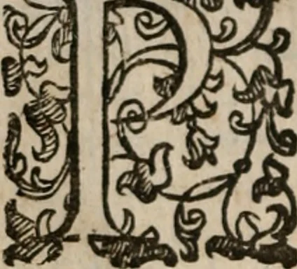 An illustration from Le bravvre del capitano Spavento, divise in molti ragionamenti in forma di dialogo, 1618, leaf 269
