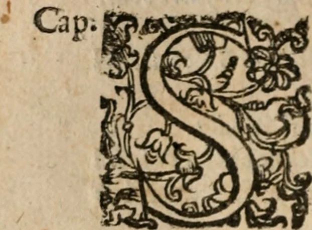 An illustration from Le bravvre del capitano Spavento, divise in molti ragionamenti in forma di dialogo, 1618, leaf 273