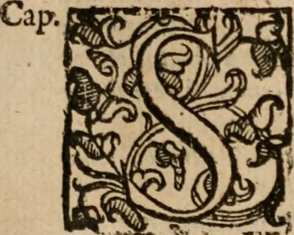 An illustration from Le bravvre del capitano Spavento, divise in molti ragionamenti in forma di dialogo, 1618, leaf 28