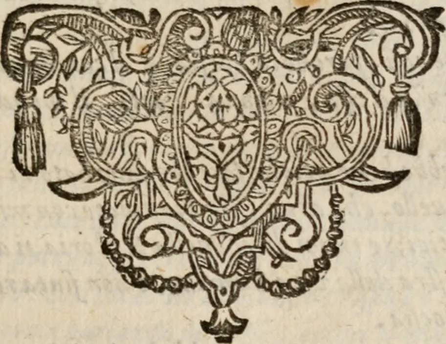An illustration from Le bravvre del capitano Spavento, divise in molti ragionamenti in forma di dialogo, 1618, leaf 290