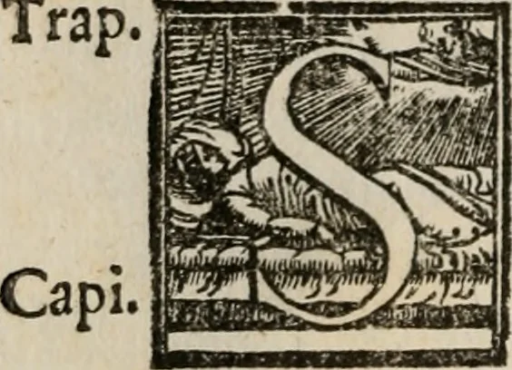 An illustration from Le bravvre del capitano Spavento, divise in molti ragionamenti in forma di dialogo, 1618, leaf 301