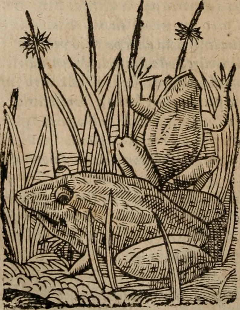 An illustration from Le bravvre del capitano Spavento, divise in molti ragionamenti in forma di dialogo, 1618, leaf 31