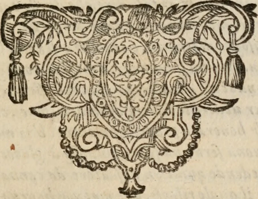 An illustration from Le bravvre del capitano Spavento, divise in molti ragionamenti in forma di dialogo, 1618, leaf 318