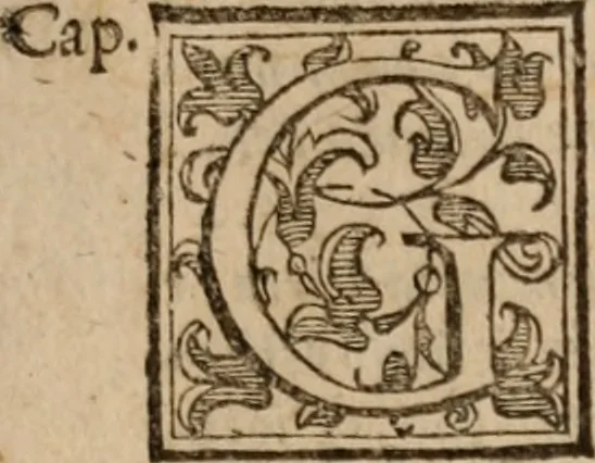 An illustration from Le bravvre del capitano Spavento, divise in molti ragionamenti in forma di dialogo, 1618, leaf 32