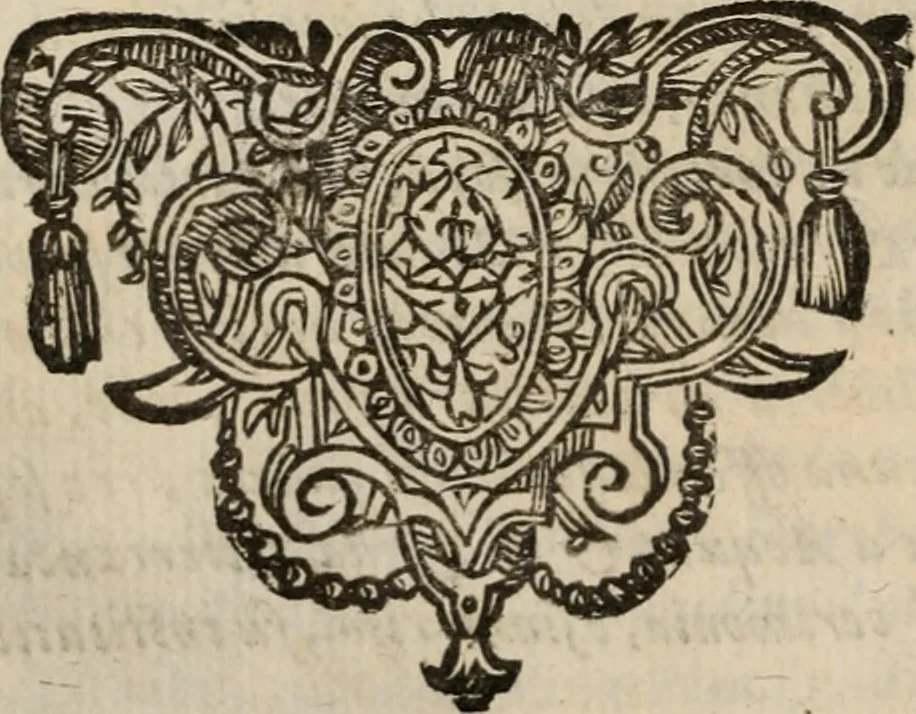 An illustration from Le bravvre del capitano Spavento, divise in molti ragionamenti in forma di dialogo, 1618, leaf 337