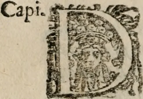 An illustration from Le bravvre del capitano Spavento, divise in molti ragionamenti in forma di dialogo, 1618, leaf 341