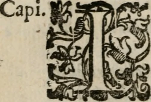 An illustration from Le bravvre del capitano Spavento, divise in molti ragionamenti in forma di dialogo, 1618, leaf 347
