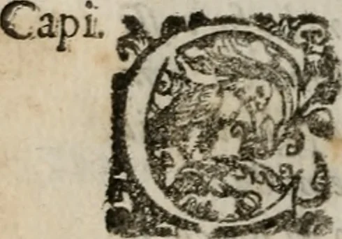 An illustration from Le bravvre del capitano Spavento, divise in molti ragionamenti in forma di dialogo, 1618, leaf 351