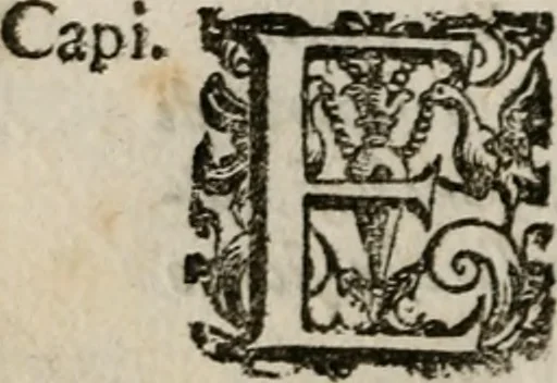An illustration from Le bravvre del capitano Spavento, divise in molti ragionamenti in forma di dialogo, 1618, leaf 355