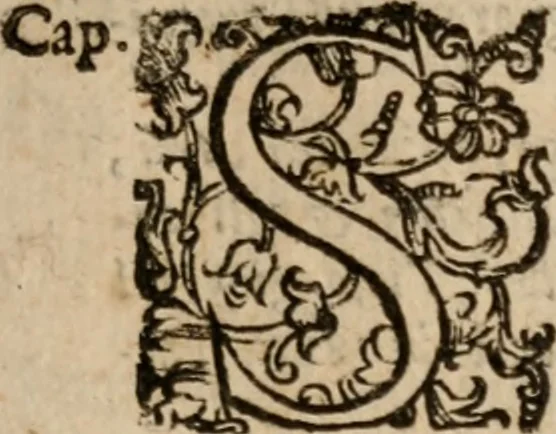 An illustration from Le bravvre del capitano Spavento, divise in molti ragionamenti in forma di dialogo, 1618, leaf 36