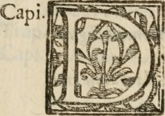 An illustration from Le bravvre del capitano Spavento, divise in molti ragionamenti in forma di dialogo, 1618, leaf 370