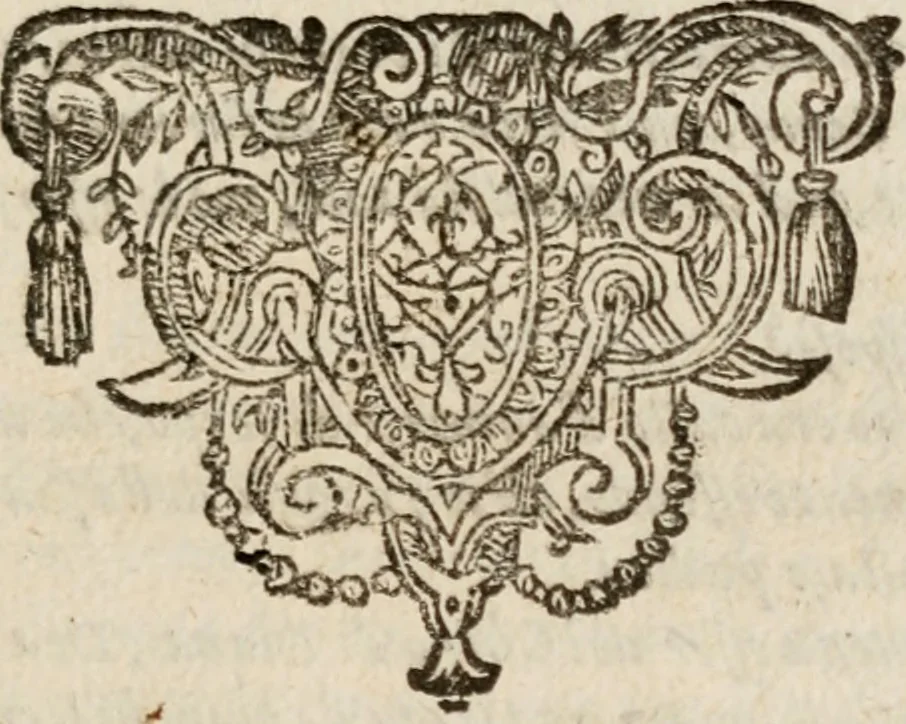An illustration from Le bravvre del capitano Spavento, divise in molti ragionamenti in forma di dialogo, 1618, leaf 384