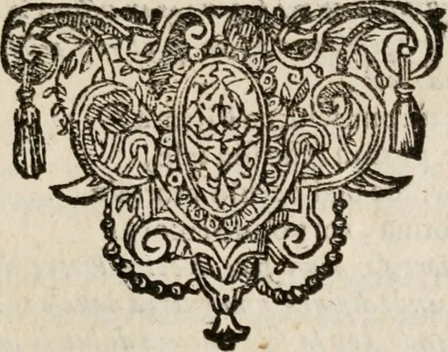 An illustration from Le bravvre del capitano Spavento, divise in molti ragionamenti in forma di dialogo, 1618, leaf 392