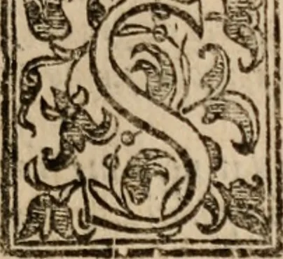 An illustration from Le bravvre del capitano Spavento, divise in molti ragionamenti in forma di dialogo, 1618, leaf 40