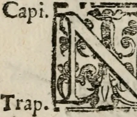 An illustration from Le bravvre del capitano Spavento, divise in molti ragionamenti in forma di dialogo, 1618, leaf 401