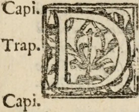 An illustration from Le bravvre del capitano Spavento, divise in molti ragionamenti in forma di dialogo, 1618, leaf 416