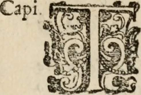 An illustration from Le bravvre del capitano Spavento, divise in molti ragionamenti in forma di dialogo, 1618, leaf 426