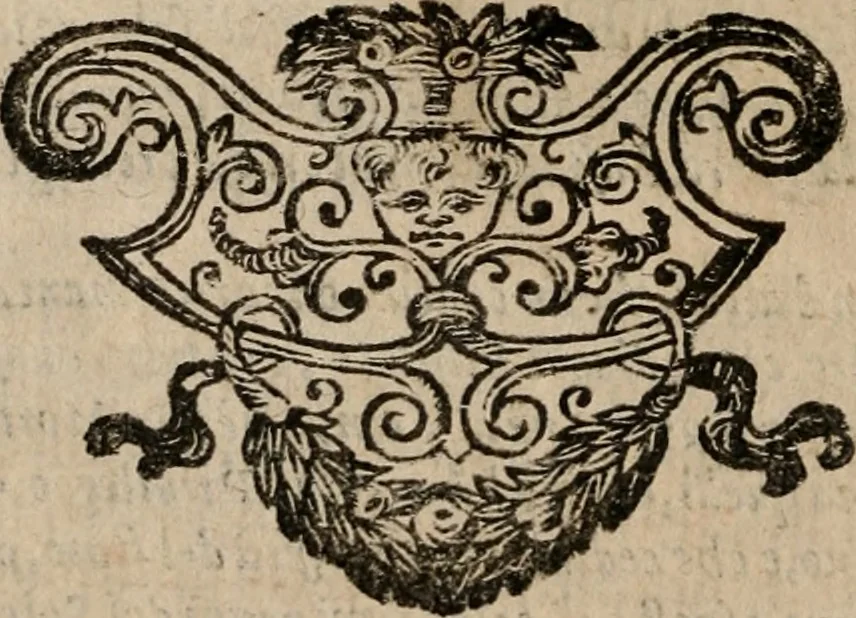 An illustration from Le bravvre del capitano Spavento, divise in molti ragionamenti in forma di dialogo, 1618, leaf 43