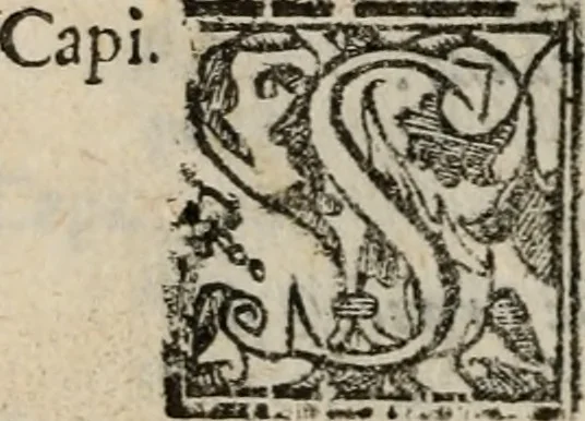 An illustration from Le bravvre del capitano Spavento, divise in molti ragionamenti in forma di dialogo, 1618, leaf 449