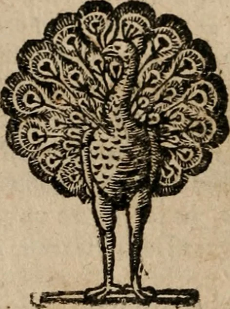An illustration from Le bravvre del capitano Spavento, divise in molti ragionamenti in forma di dialogo, 1618, leaf 55