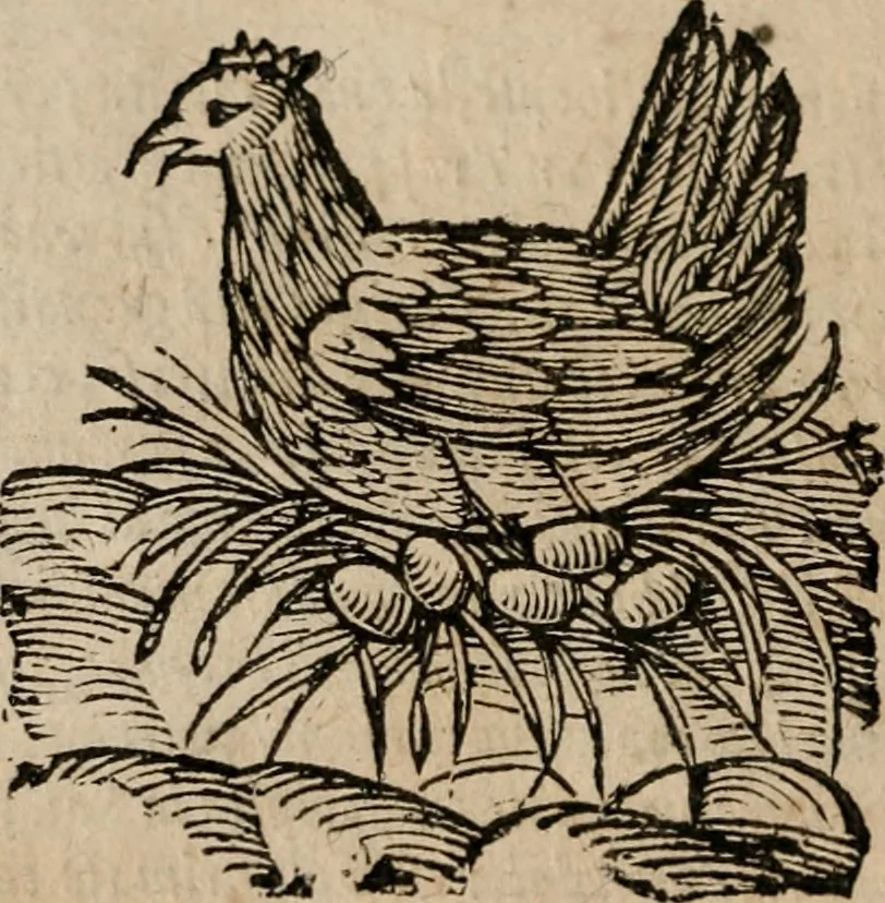 An illustration from Le bravvre del capitano Spavento, divise in molti ragionamenti in forma di dialogo, 1618, leaf 59