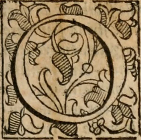 An illustration from Le bravvre del capitano Spavento, divise in molti ragionamenti in forma di dialogo, 1618, leaf 6