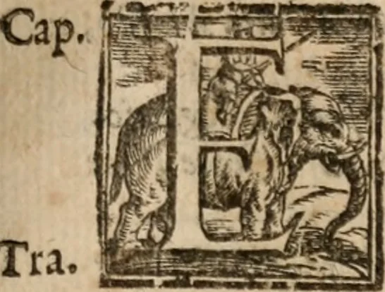 An illustration from Le bravvre del capitano Spavento, divise in molti ragionamenti in forma di dialogo, 1618, leaf 64
