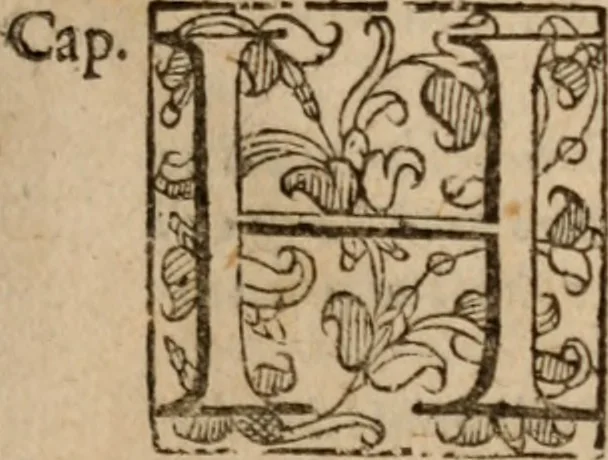 An illustration from Le bravvre del capitano Spavento, divise in molti ragionamenti in forma di dialogo, 1618, leaf 68