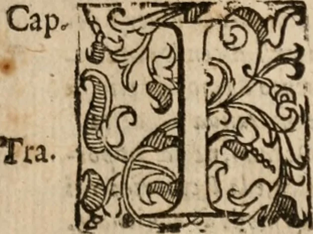 An illustration from Le bravvre del capitano Spavento, divise in molti ragionamenti in forma di dialogo, 1618, leaf 76