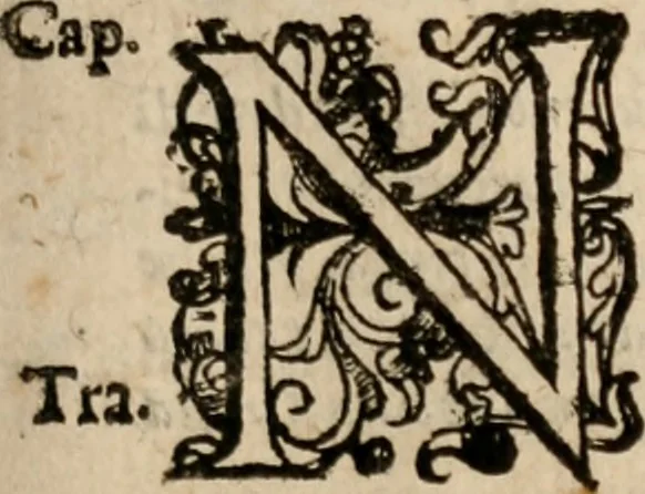 An illustration from Le bravvre del capitano Spavento, divise in molti ragionamenti in forma di dialogo, 1618, leaf 80