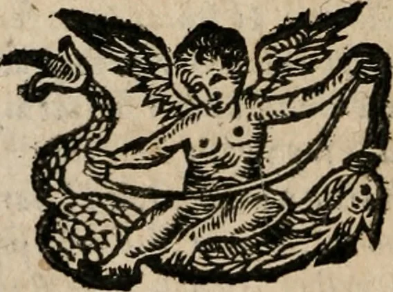 An illustration from Le bravvre del capitano Spavento, divise in molti ragionamenti in forma di dialogo, 1618, leaf 83