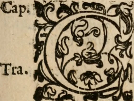 An illustration from Le bravvre del capitano Spavento, divise in molti ragionamenti in forma di dialogo, 1618, leaf 88