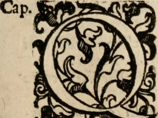 An illustration from Le bravvre del capitano Spavento, divise in molti ragionamenti in forma di dialogo, 1618, leaf 92