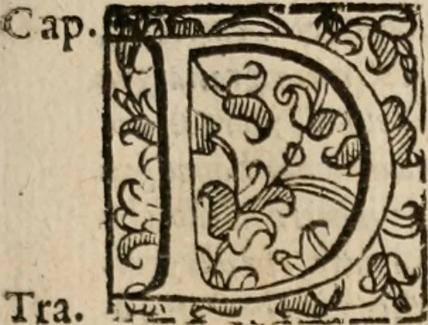 An illustration from Le bravvre del capitano Spavento, divise in molti ragionamenti in forma di dialogo, 1618, leaf 96