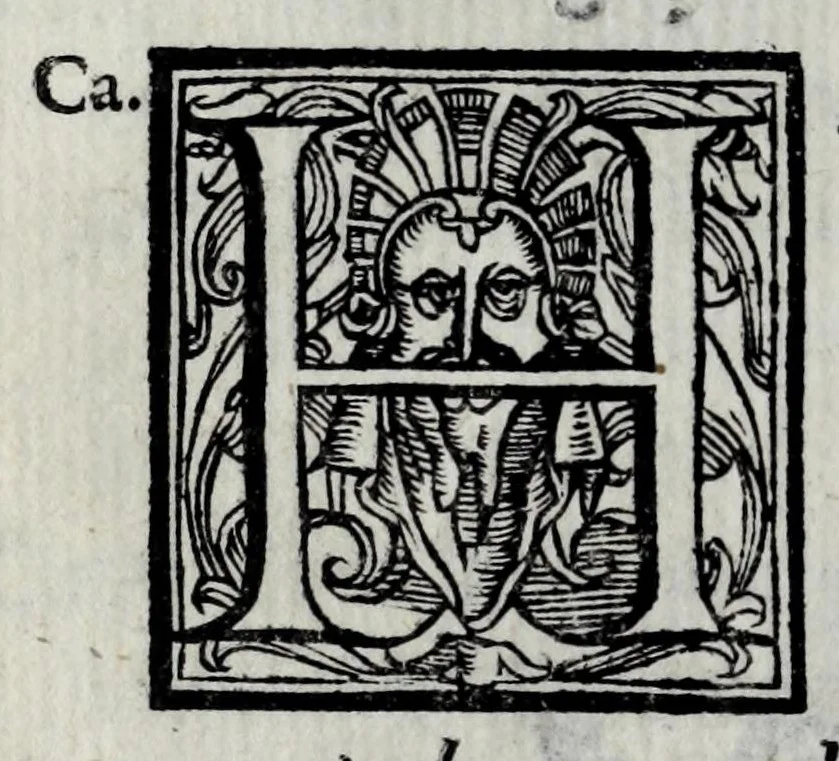 An illustration from Le bravvre del Capitano Spauento : divise in molti ragionamenti in forma di dialogo, 1607, leaf 128