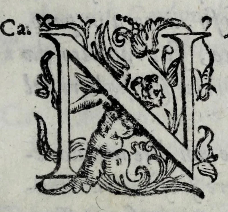 An illustration from Le bravvre del Capitano Spauento : divise in molti ragionamenti in forma di dialogo, 1607, leaf 159