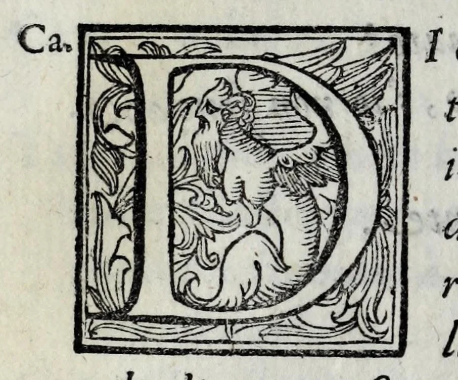 An illustration from Le bravvre del Capitano Spauento : divise in molti ragionamenti in forma di dialogo, 1607, leaf 182