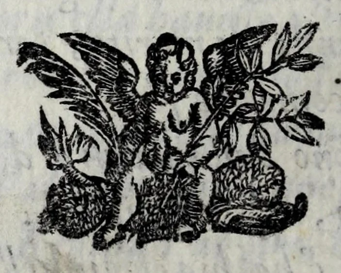 An illustration from Le bravvre del Capitano Spauento : divise in molti ragionamenti in forma di dialogo, 1607, leaf 194