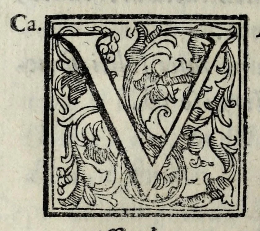An illustration from Le bravvre del Capitano Spauento : divise in molti ragionamenti in forma di dialogo, 1607, leaf 202