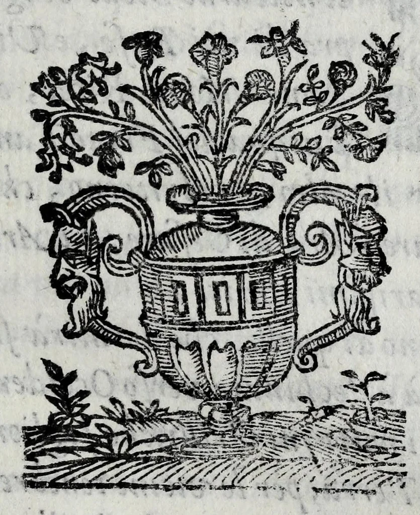 An illustration from Le bravvre del Capitano Spauento : divise in molti ragionamenti in forma di dialogo, 1607, leaf 213