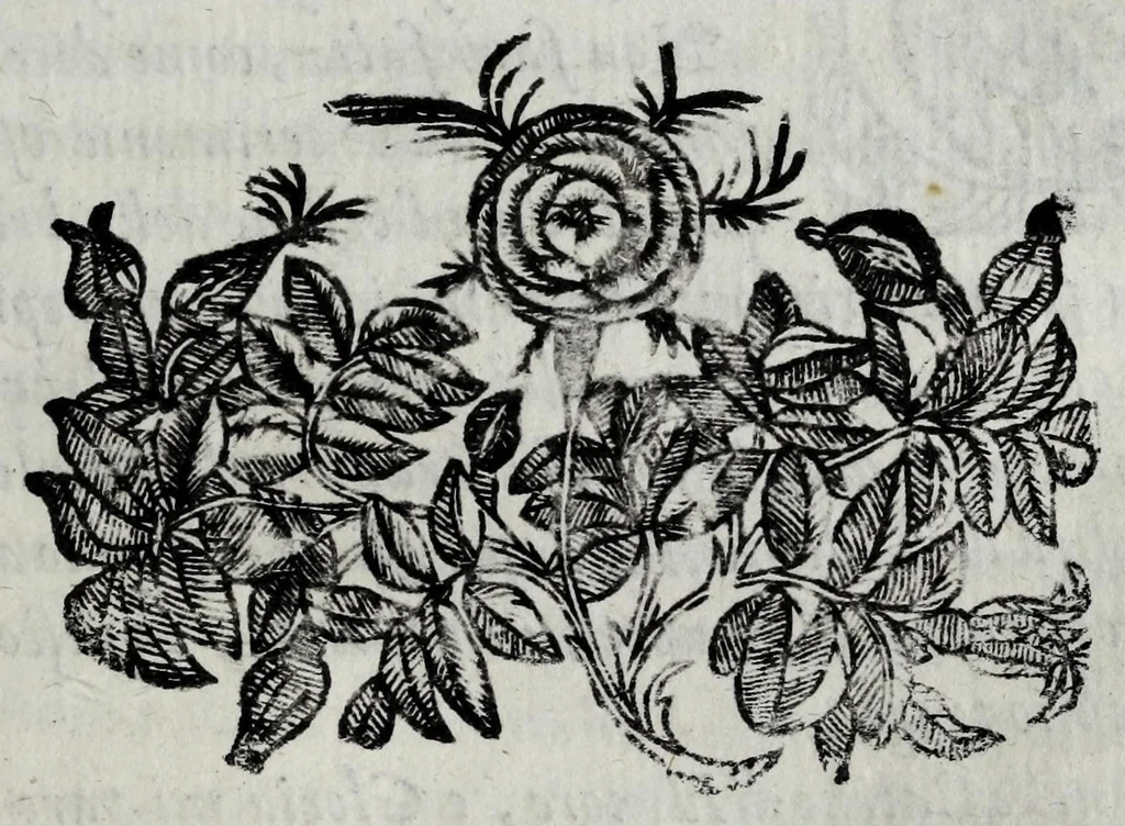 An illustration from Le bravvre del Capitano Spauento : divise in molti ragionamenti in forma di dialogo, 1607, leaf 225