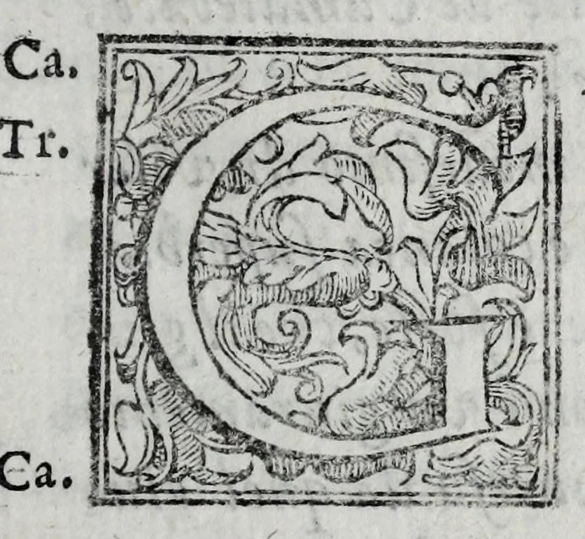 An illustration from Le bravvre del Capitano Spauento : divise in molti ragionamenti in forma di dialogo, 1607, leaf 235
