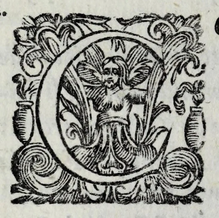 An illustration from Le bravvre del Capitano Spauento : divise in molti ragionamenti in forma di dialogo, 1607, leaf 242