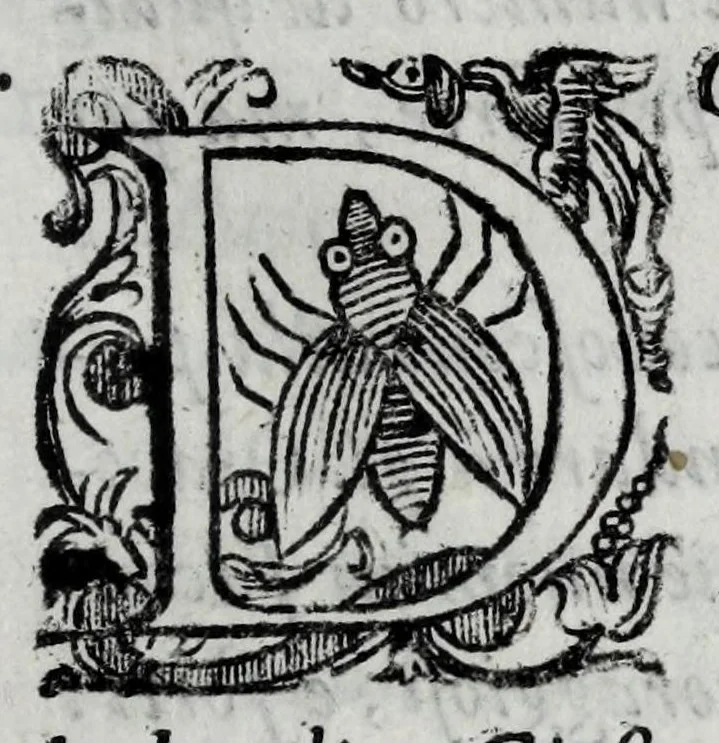 An illustration from Le bravvre del Capitano Spauento : divise in molti ragionamenti in forma di dialogo, 1607, leaf 249