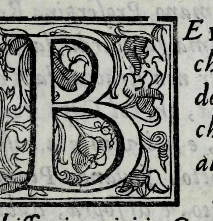 An illustration from Le bravvre del Capitano Spauento : divise in molti ragionamenti in forma di dialogo, 1607, leaf 305