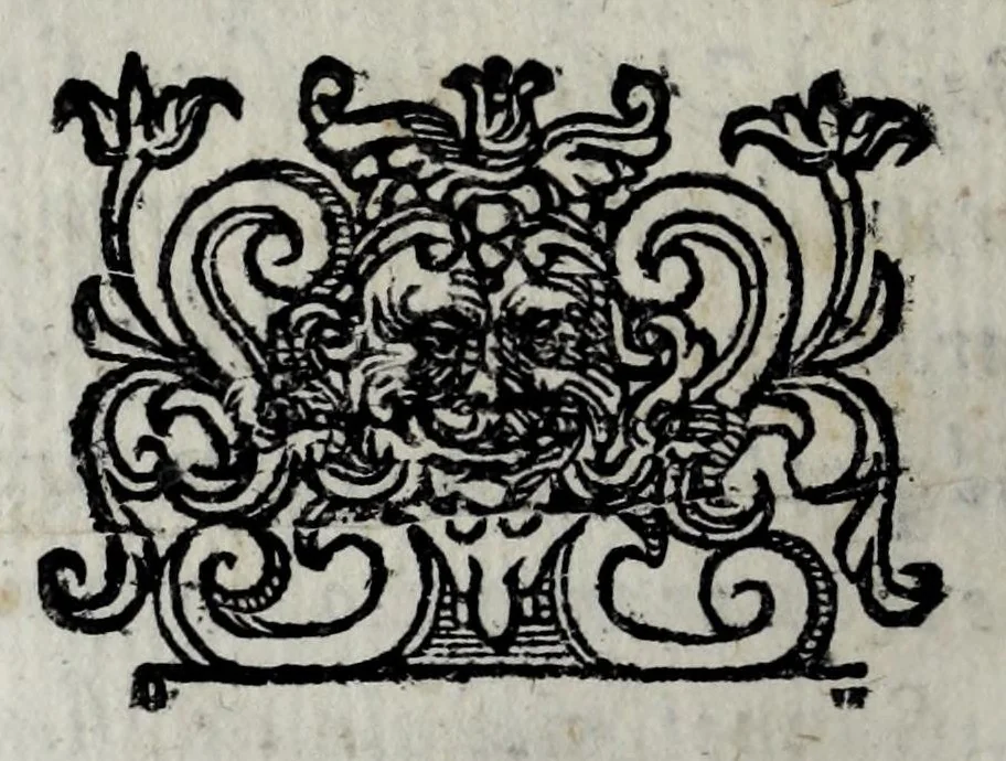 An illustration from Le bravvre del Capitano Spauento : divise in molti ragionamenti in forma di dialogo, 1607, leaf 340